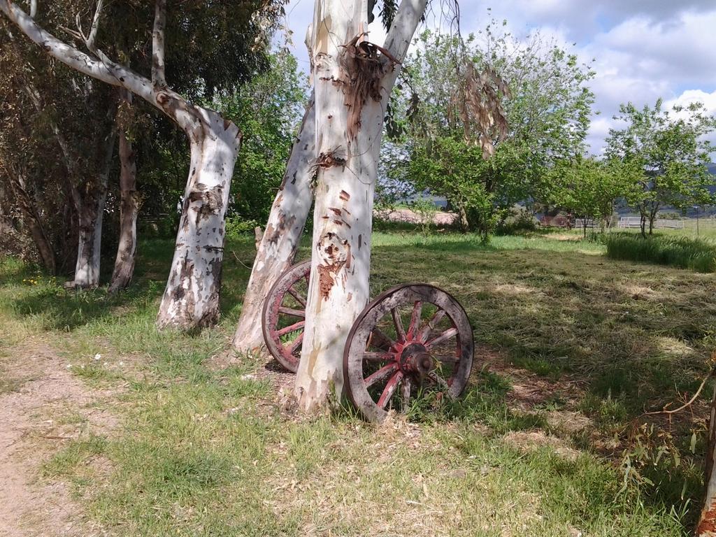 Agriturismo Spinalva Perfugas ภายนอก รูปภาพ